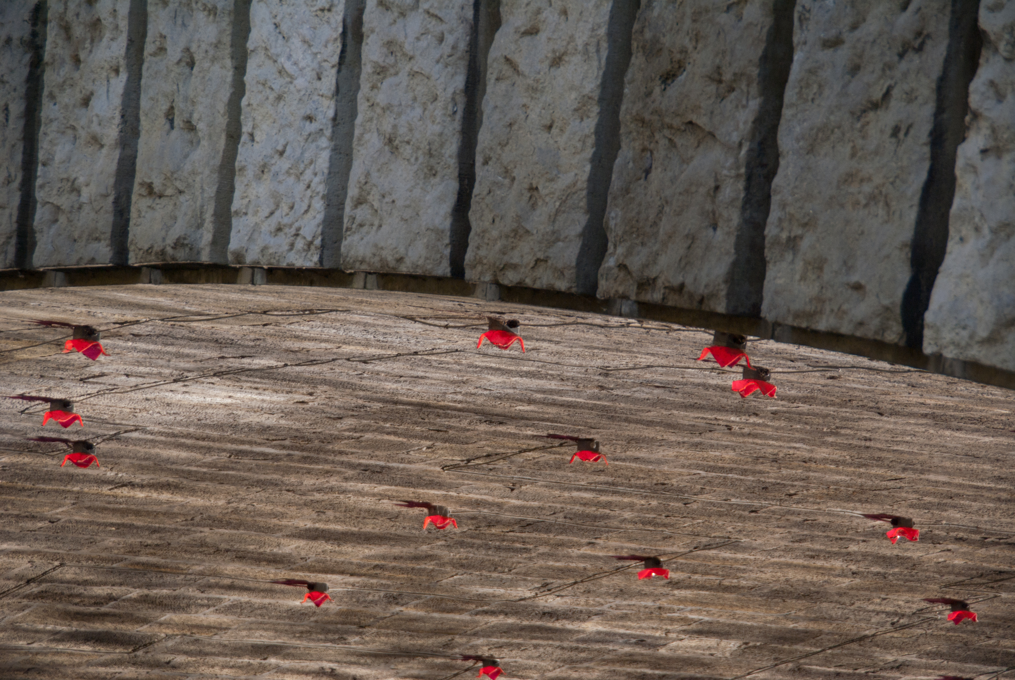 Lichtparcours-Installation unter der Theaterbrücke an der Jasperallee